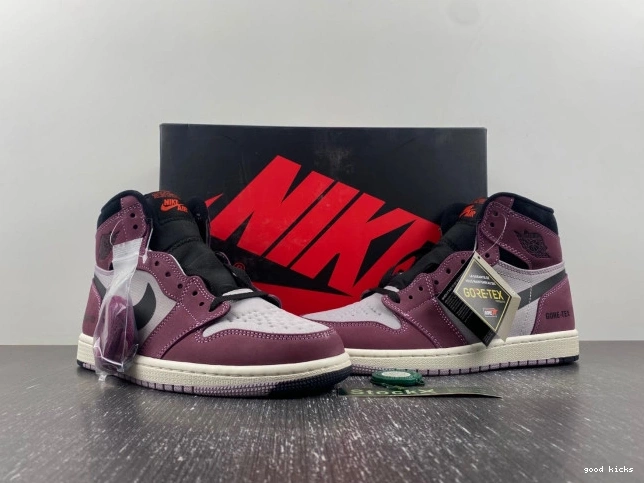 Cheap Air DB2889-500 Jordan 1 Element Gore-Tex 0731